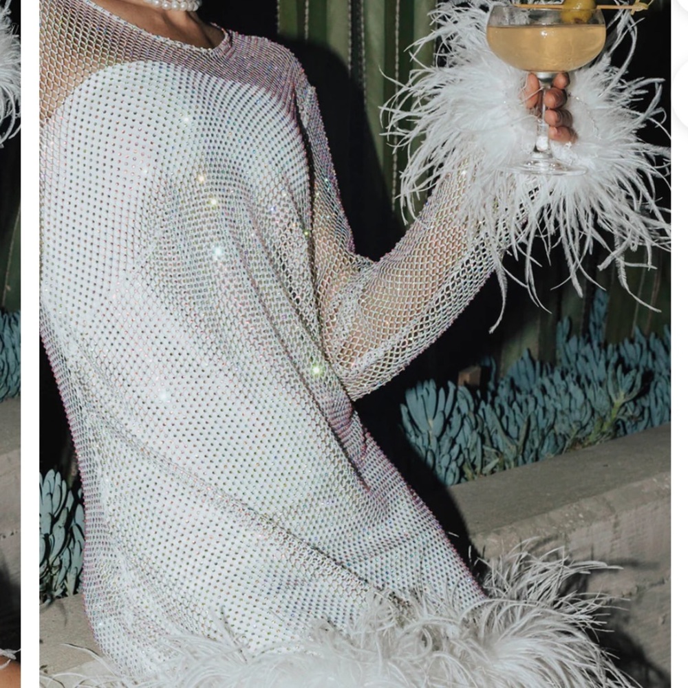 Disco Sheer Dress - Picture 3 of 3